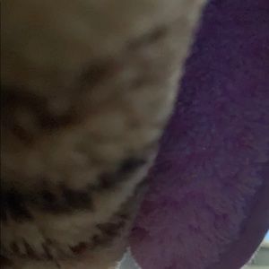 Meet your Posher, Natalie